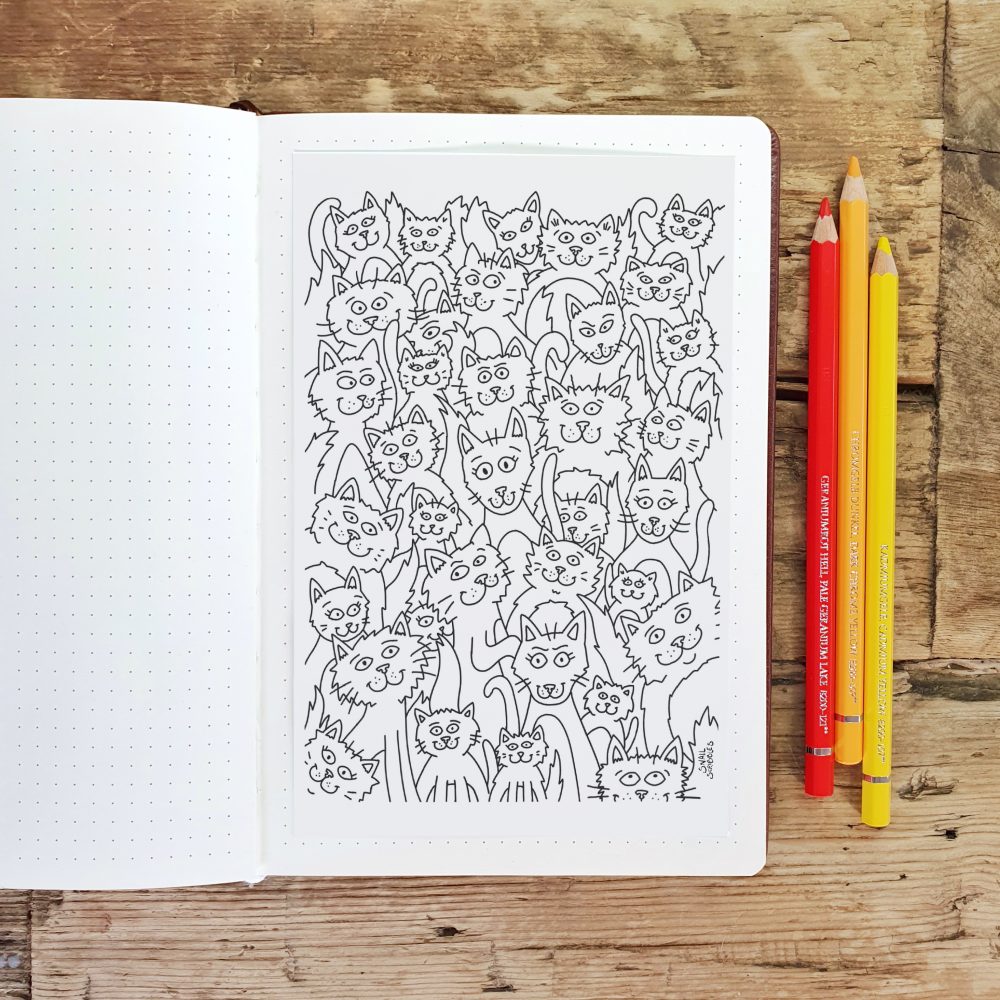 Crazy Cats Printable Blank