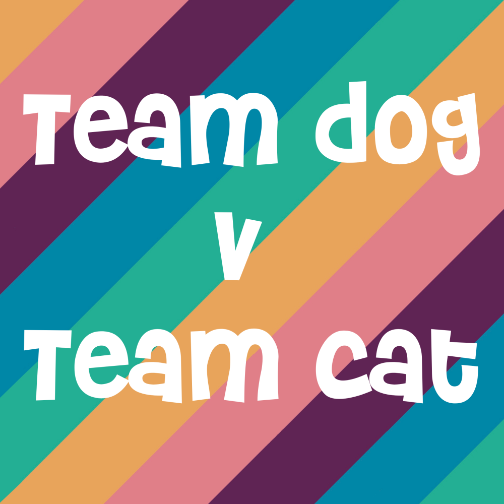 Team Dog & Team Cat
