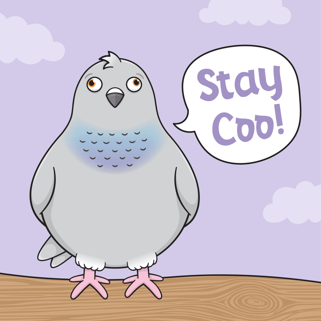 Stay-Coo-ICON-NO-TEXT